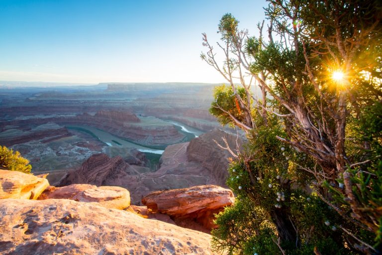 The Art of Budget-Friendly Outdoor Adventures