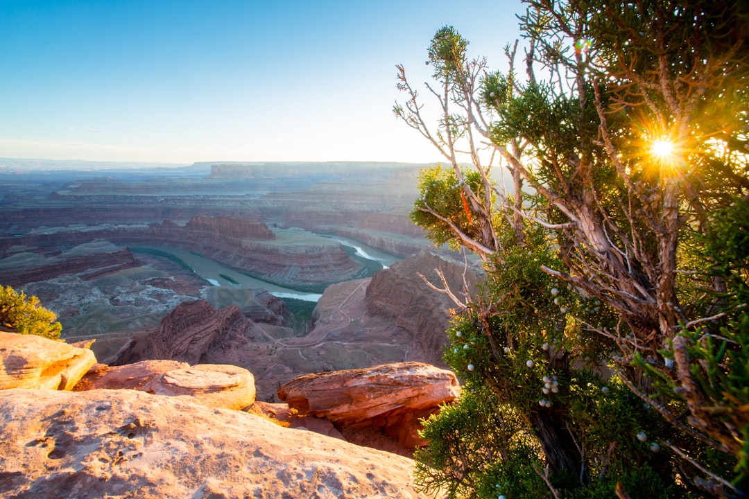 The Art of Budget-Friendly Outdoor Adventures