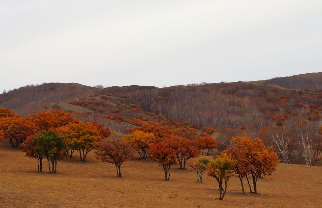 The Art of Slow Travel: Embracing the Journey